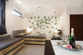 Apartmán Wellness Veselí